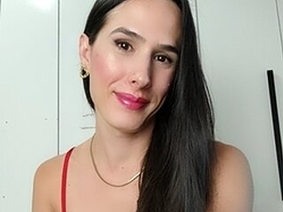 Webcam Snapshot for Transluxxx