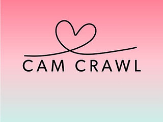 Webcam Snapshot for camcrawl